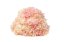 Stabilisierte Hortensie - Creme-Rosa