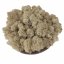Muschio stabilizzato purificato - lichene -  Naturale - Finlandese - Peso: 500g