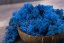 Muschio stabilizzato - lichene - Blu - Peso: 100g