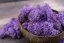 Muschio stabilizzato - lichene - Viola - Peso: 1kg