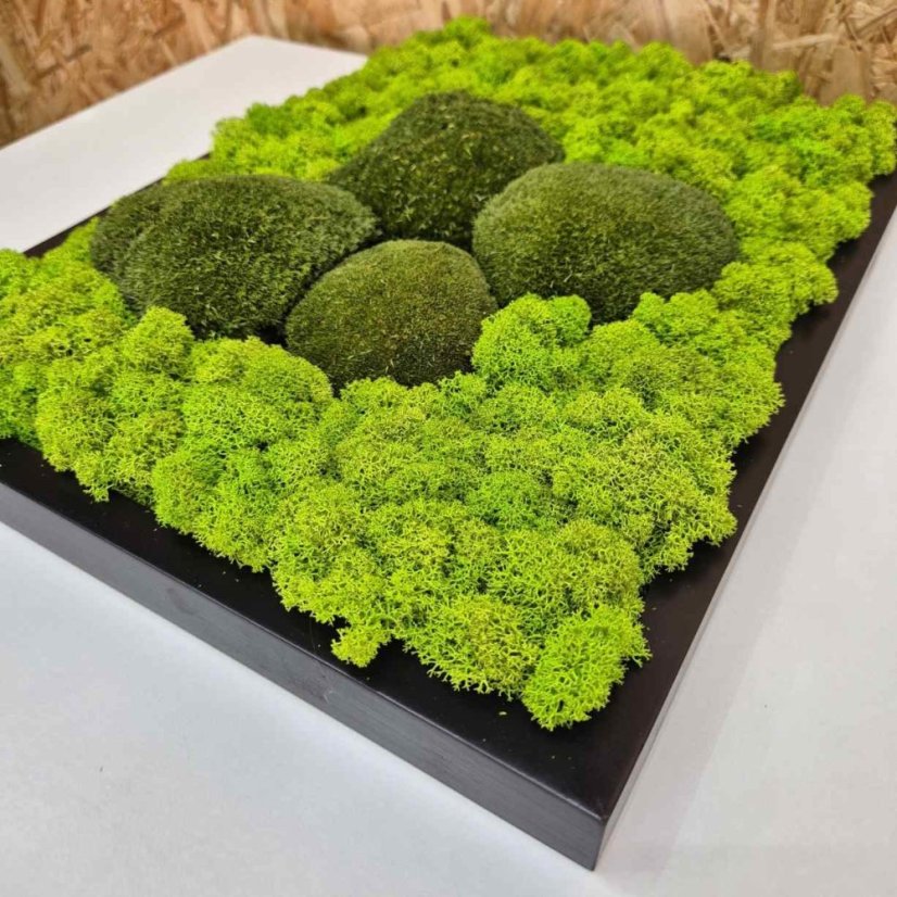 DIY-Set für Moosbild – 30×40 cm - Rahmenfarbe: Fichte, Farbe des Kugelmooses: Naturgrün