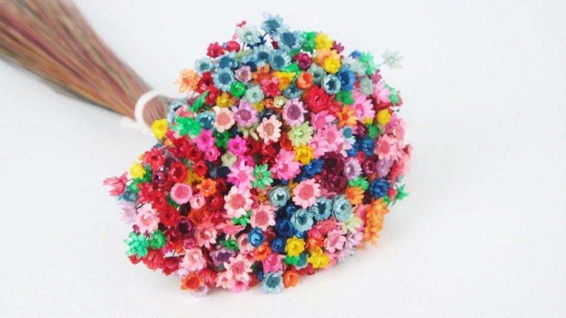 Fiori Glixia essiccati - Arcobaleno