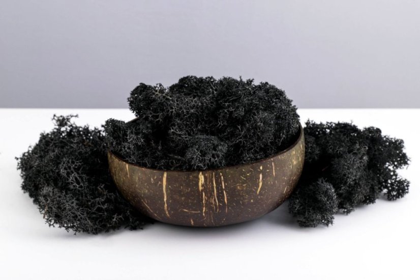 Muschio stabilizzato - lichene - Nero - Peso: 1kg