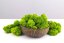 Mușchi stabilizat curățat - lichen - Verde măr - Finlandez - Greutate: 100g