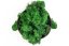 Muschio stabilizzato - lichene - Verde bosco - Peso: 500g