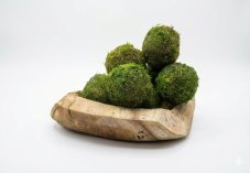 Stabilisierte Mooskugel - 10 cm