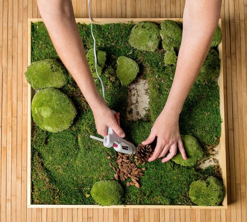 Wie man ein Moosbild macht