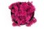 Stabilisiertes Moos - Flechte - Rosa - Gewicht: 1kg