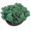 Muschio stabilizzato - lichene - Verde turchese - Peso: 1kg
