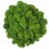 Čiščen stabiliziran mah - lišaj - jabolčno zelen - finski - Teža: 5kg