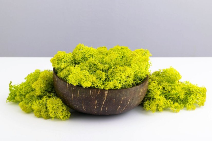 Mousse stabilisée et lichen - Vert citron - Poids: 1kg