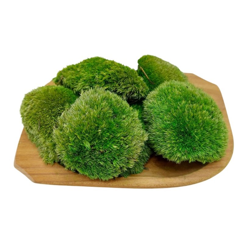 Kopčekový mach Mini - Jarná zelená - Balenie 0,15m2