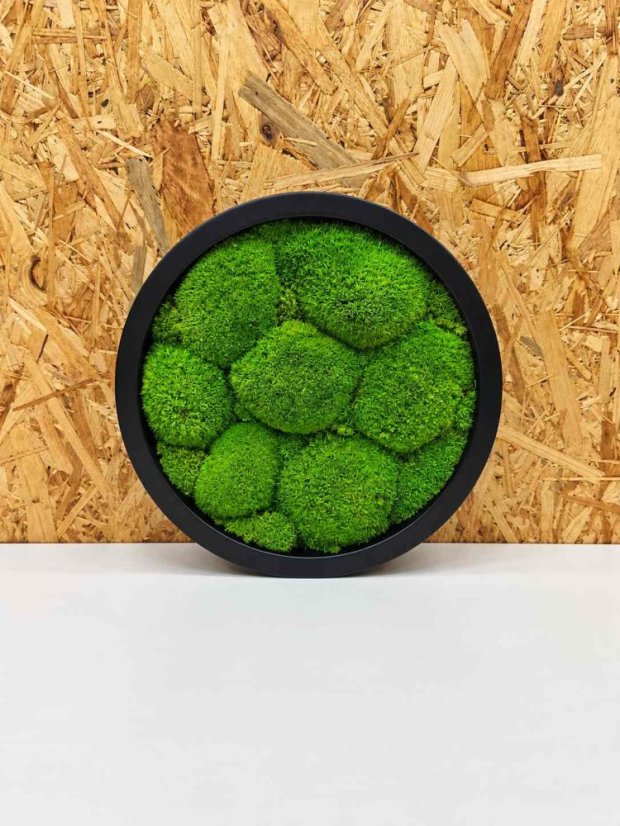 Mechový obraz kruh – 25 cm, světlý kopečkový mech, černý rám