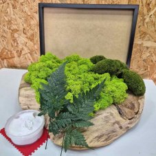 DIY készlet mohaképre – 30×40 cm