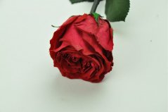 Stabilisierte Rose am Stiel – Rot