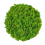 DIY sada mechový kruh 30cm - lišejník - Barva lišejníku: Lesní zelená