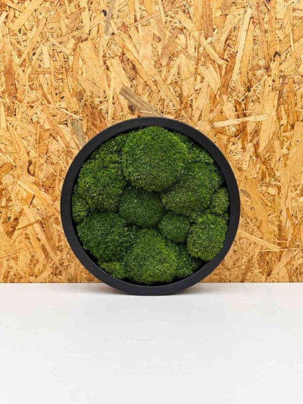 Kerek mohakép – 25 cm, gömbmoha természetes zöld, fekete keret