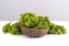 Stabiliziran mah - lišaji - srednje zelena - Teža: 5kg