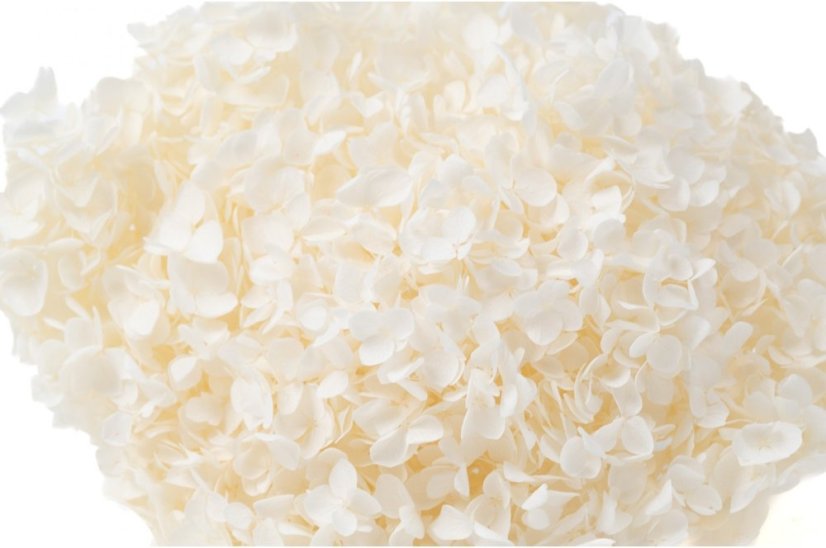 Stabilisierte Hortensie - Creme