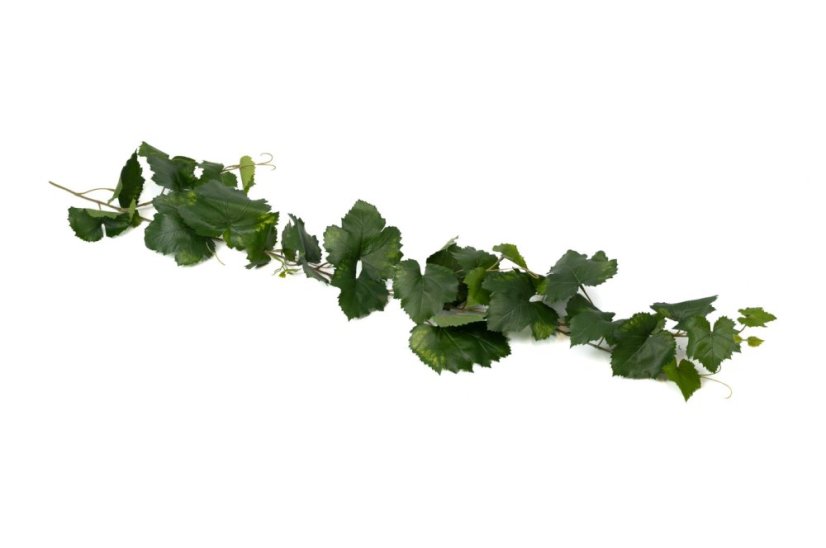 Mű vadszőlő inda
