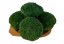 Kugelmoos - „Schildkröte" Mini - Paket 0,15m2 - Farbe: Naturgrün