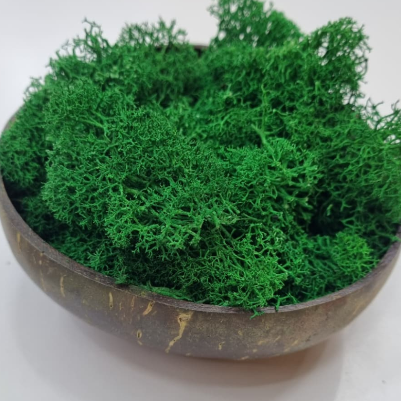 Stabilizovaný mech – lišejník – Odřezky - 1kg