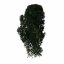 Muschio stabilizzato purificato - lichene -  Scuro - Finlandese - Peso: 5kg