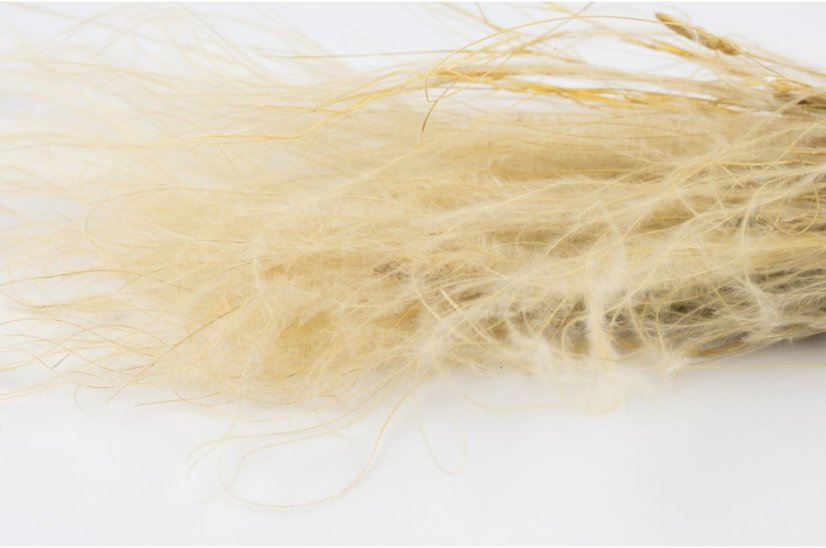 Iarbă decorativă uscată Stipa