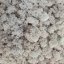 Muschio stabilizzato - lichene - Naturale - Peso: 100g