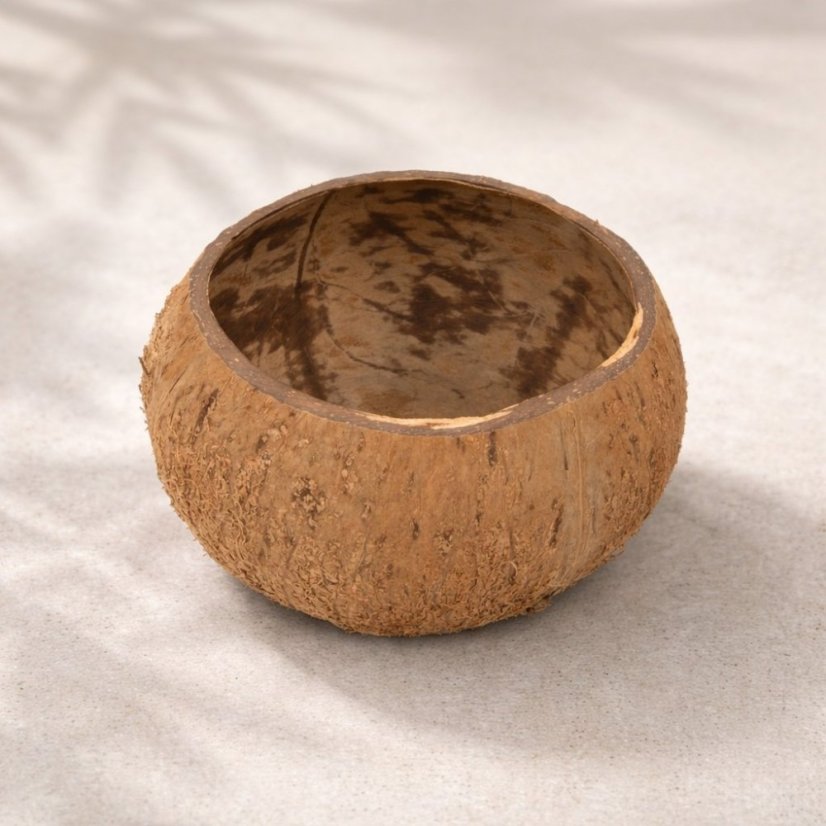 Přírodní kokosová miska