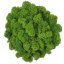Mușchi stabilizat curățat - lichen - Verde măr - Finlandez - Greutate: 100g