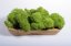Čiščen stabiliziran mah - lišaj - jabolčno zelen - finski - Teža: 100g