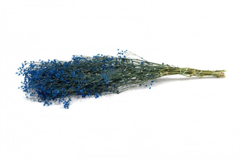 Fiori di Gypsophila stabilizzati - Blu Reale