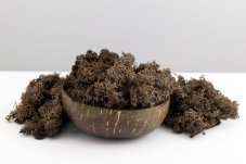 Stabiliziran mah - lišaji - Rjava