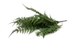 Felce artificiale – mazzetto da inserimento