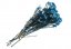 Stabilizált Rizsvirág - Kék
