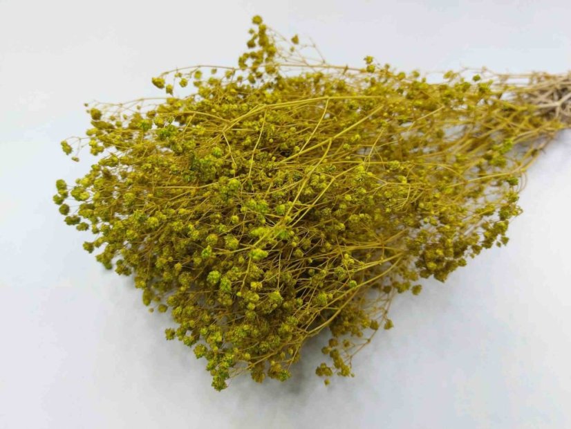 Stabilisierte Gypsophila-Blüten - Limettengrün