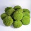 Kroglasti mah - "Želva" - svetlo zelen - Površina: 1 kos (običajna oblika 10-12 cm)