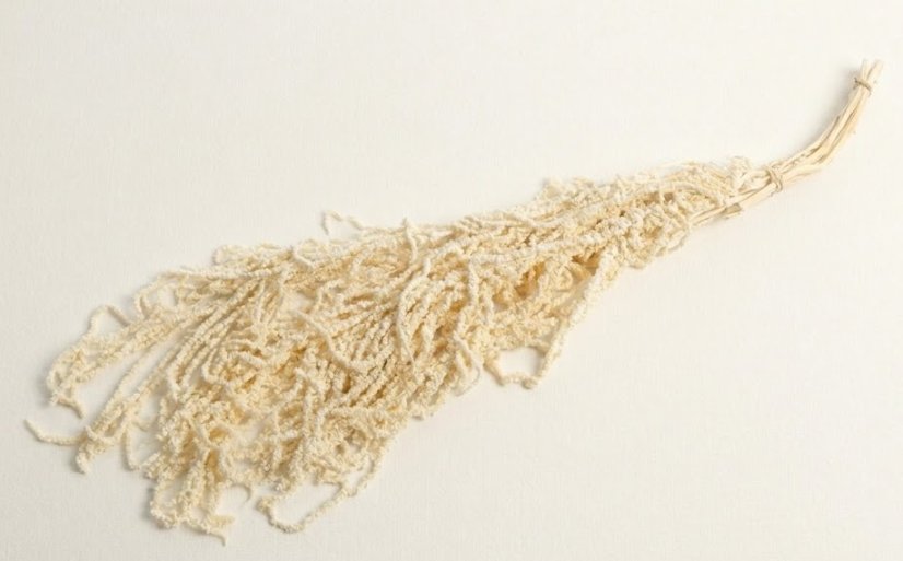 Stabilizovaný Amarant PREMIUM - Biely - Veľkosť: Sáčok (20g)
