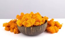 Mușchi stabilizat - lichen - Portocaliu