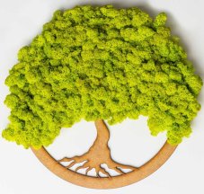 Copac de mușchi - Verde lime