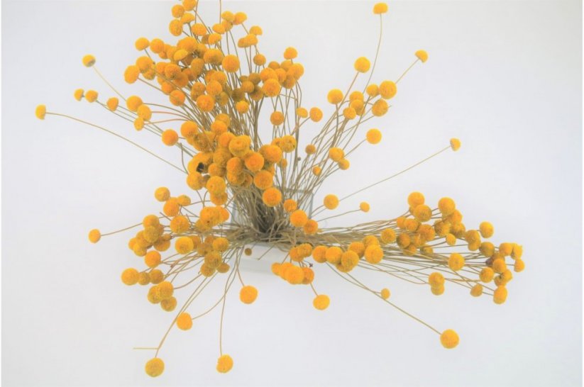 Stabilizované květiny Botao - Oranžové
