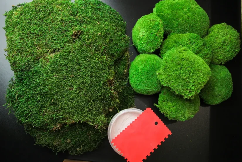 Geschenkset zur Herstellung von Moosbild - Flach- + Kugelmoos - 80x40cm - Rahmenfarbe: Ebenholz (Schwarz)