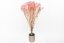 Flori stabilizate Gypsophila - Roz