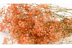 Stabilisierten Gypsophila-Blüten - Pfirsichfarben