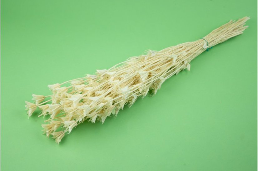 Sušená tráva Nigella - Bílá