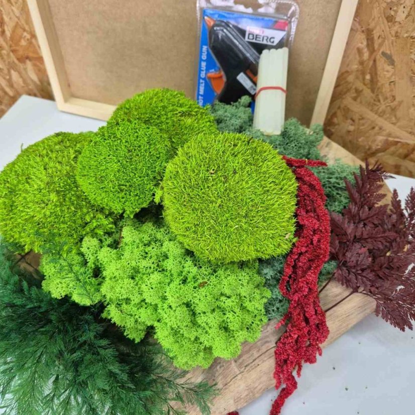 DIY sada na machový obraz - 30x40cm - Farba rámu: Smrek, Farba kopčekového machu: Svetlo zelená