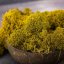 Muschio stabilizzato purificato - lichene -  Limone - Finlandese - Peso: 1kg