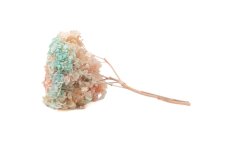 Hortensie stabilizată - Curcubeu