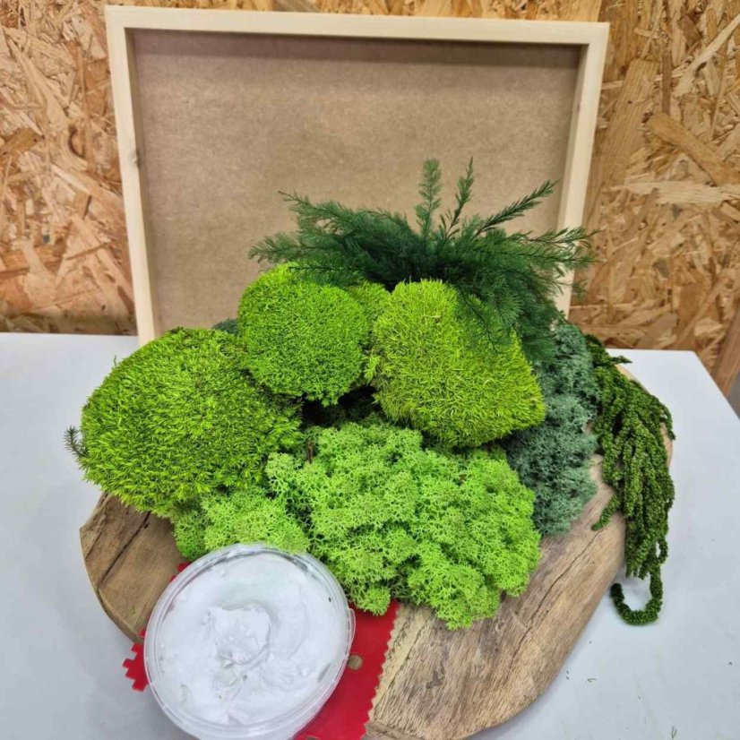 DIY-Set für Moosbild – 30×40 cm - Rahmenfarbe: Fichte, Farbe des Kugelmooses: Naturgrün